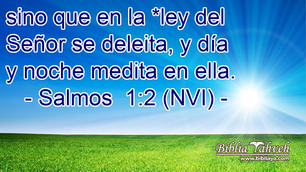  sino que en la *ley del Señor se deleita, y día y noche medita en ella. 