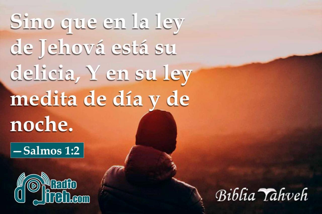 Sino que en la ley de Jehová está su delicia, Y en su ley medita de día y de noche.