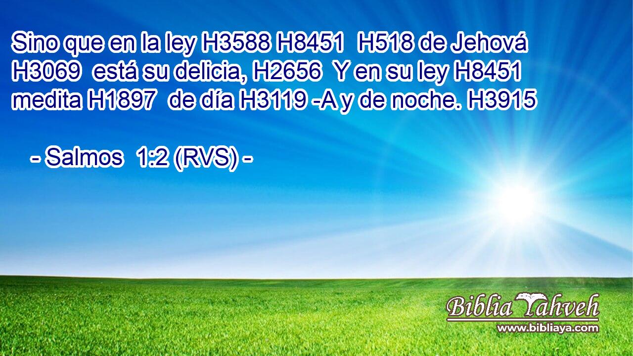 Sino que en la ley H3588 H8451  H518 de Jehová H3069  está su delicia, H2656  Y en su ley H8451  medita H1897  de día H3119 -A y de noche. H3915  