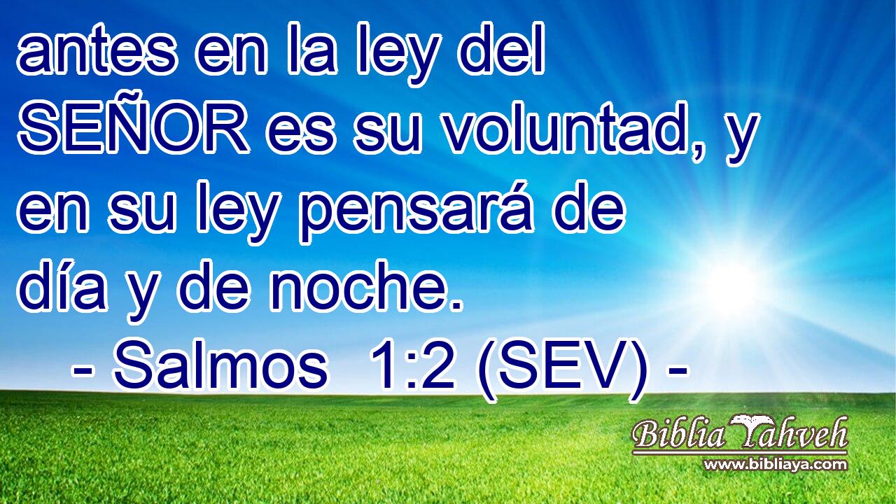 antes en la ley del SEÑOR es su voluntad, y en su ley pensará de día y de noche.