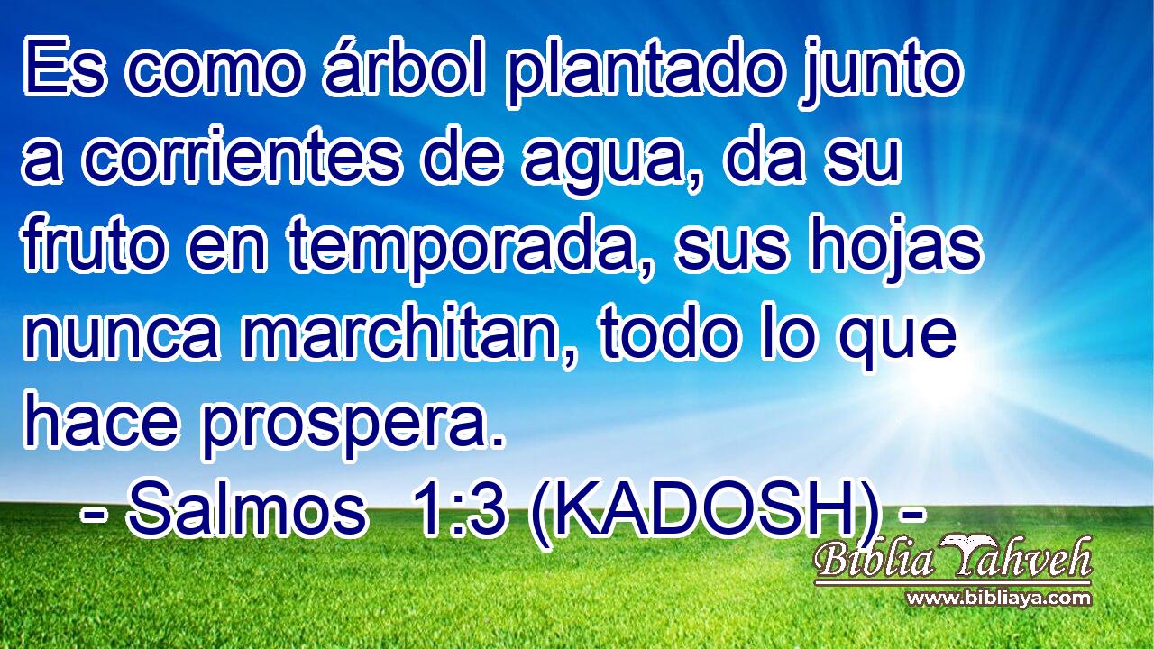  Es como árbol plantado junto a corrientes de agua, da su fruto en temporada, sus hojas nunca marchitan, todo lo que hace prospera. 