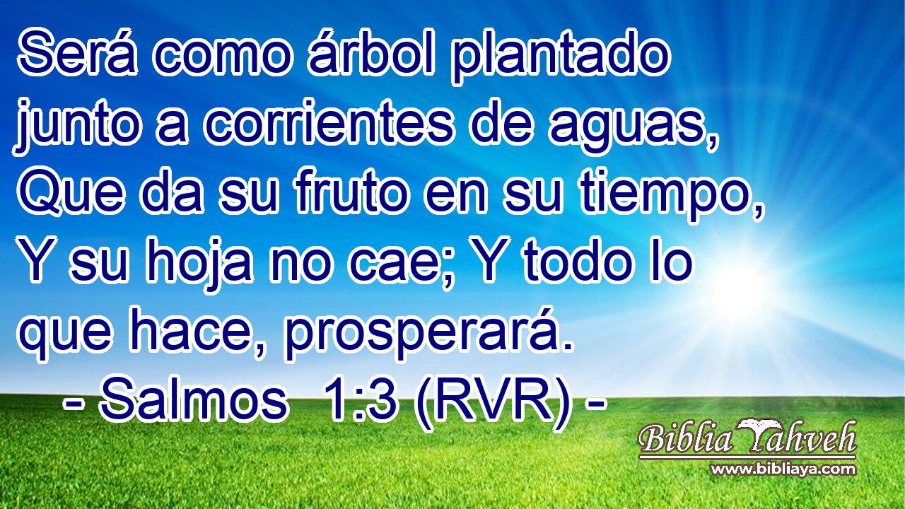 Será como árbol plantado junto a corrientes de aguas, Que da su fruto en su tiempo, Y su hoja no cae; Y todo lo que hace, prosperará.