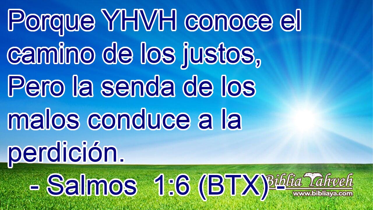 Porque YHVH conoce el camino de los justos, Pero la senda de los malos conduce a la perdición.