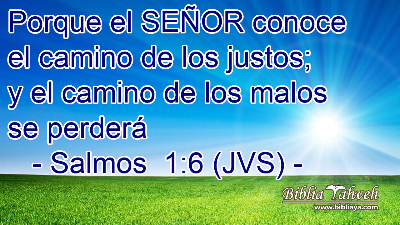 Porque el SEÑOR conoce el camino de los justos; y el camino de los malos se perderá