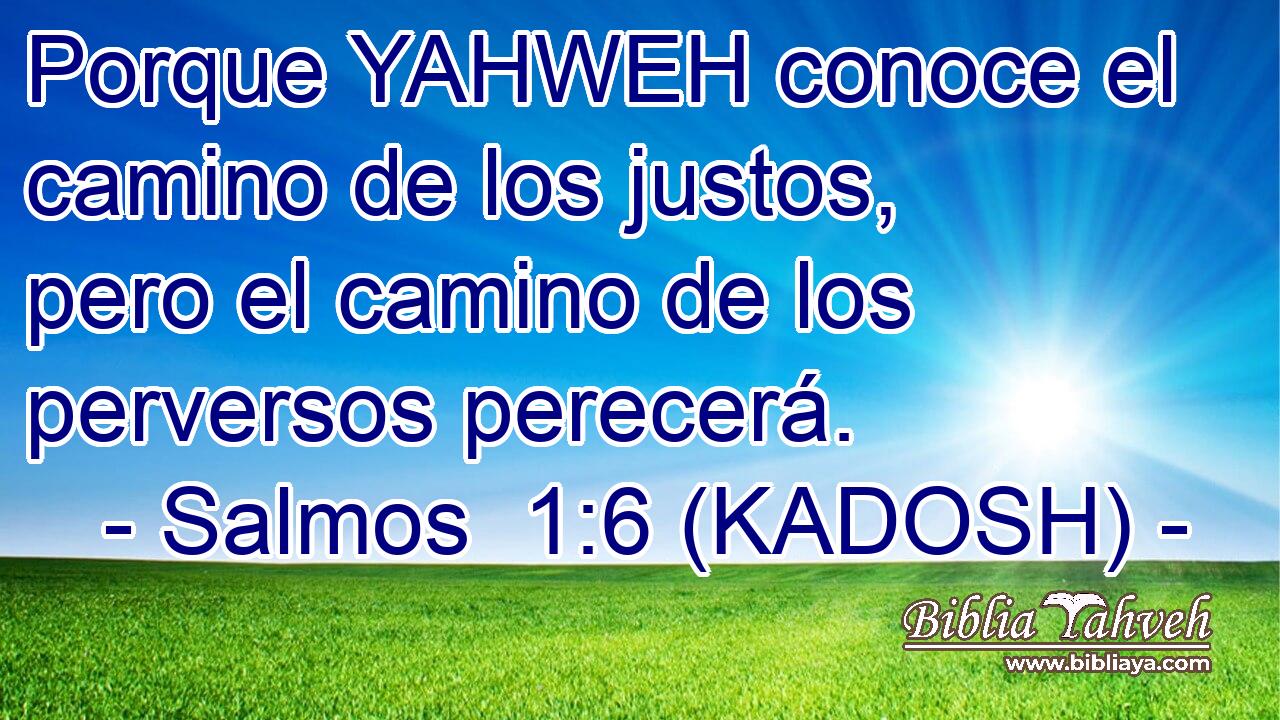  Porque YAHWEH conoce el camino de los justos, pero el camino de los perversos perecerá. 