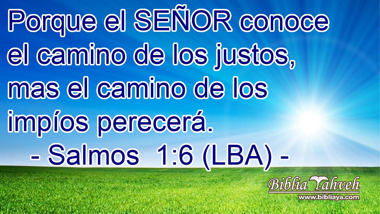 Porque el SEÑOR conoce el camino de los justos, mas el camino de los impíos perecerá.