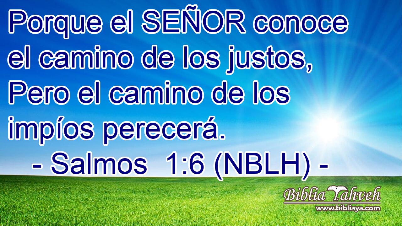  Porque el SEÑOR conoce el camino de los justos, Pero el camino de los impíos perecerá. 