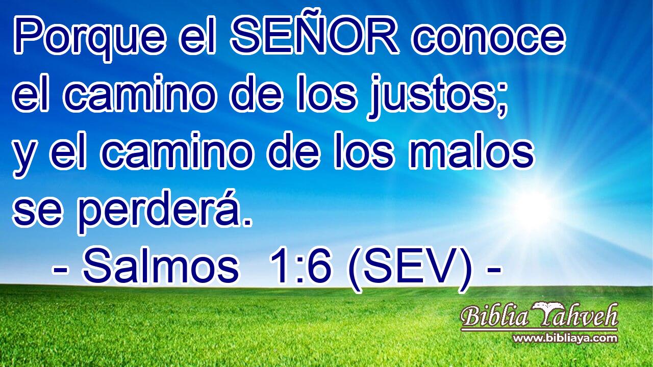 Porque el SEÑOR conoce el camino de los justos; y el camino de los malos se perderá.