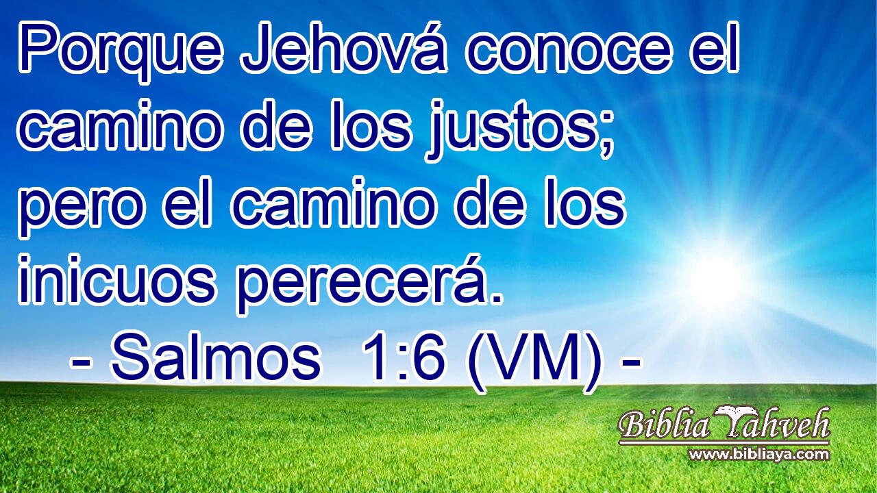  Porque Jehová conoce el camino de los justos; pero el camino de los inicuos perecerá. 