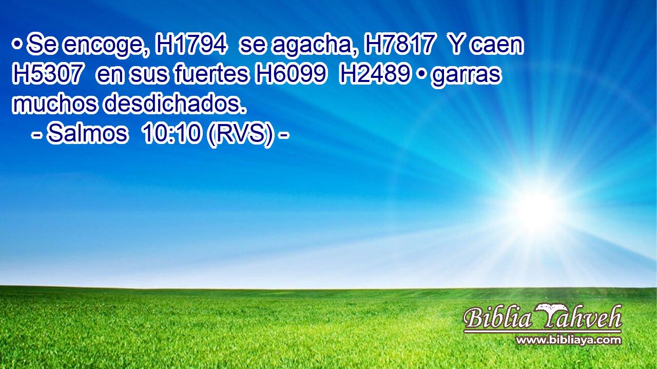 • Se encoge, H1794  se agacha, H7817  Y caen H5307  en sus fuertes H6099  H2489 • garras muchos desdichados. 