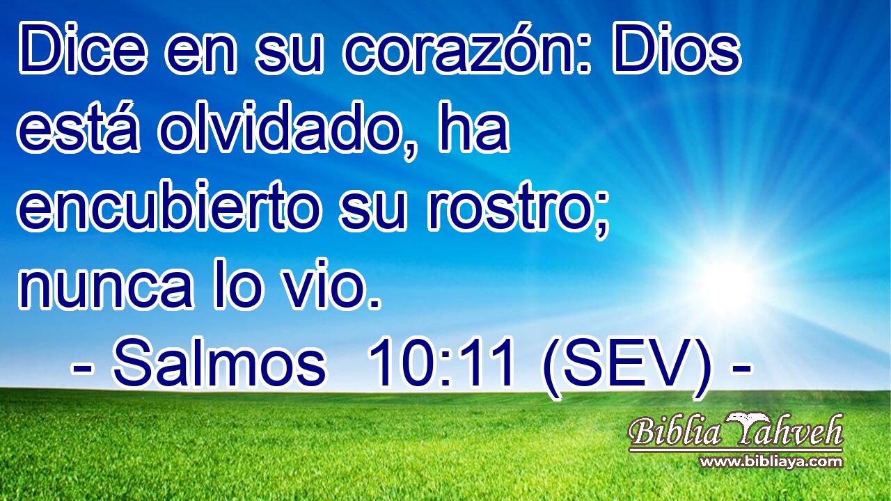Dice en su corazón: Dios está olvidado, ha encubierto su rostro; nunca lo vio.