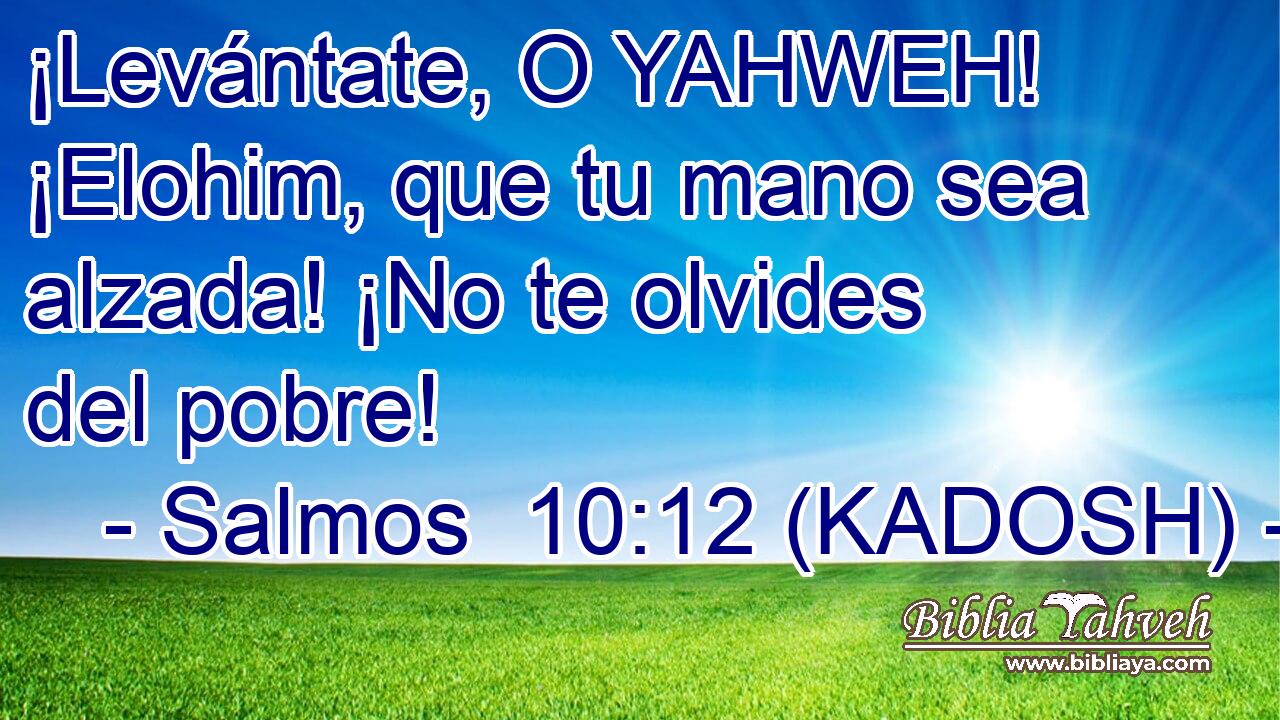  ¡Levántate, O YAHWEH! ¡Elohim, que tu mano sea alzada! ¡No te olvides del pobre! 