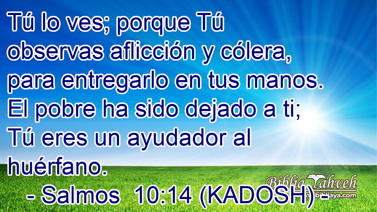  Tú lo ves; porque Tú observas aflicción y cólera, para entregarlo en tus manos. El pobre ha sido dejado a ti; Tú eres un ayudador al huérfano. 