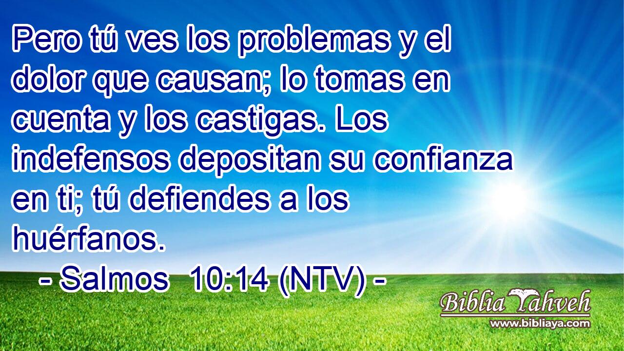 Pero tú ves los problemas y el dolor que causan; lo tomas en cuenta y los castigas. Los indefensos depositan su confianza en ti; tú defiendes a los huérfanos.