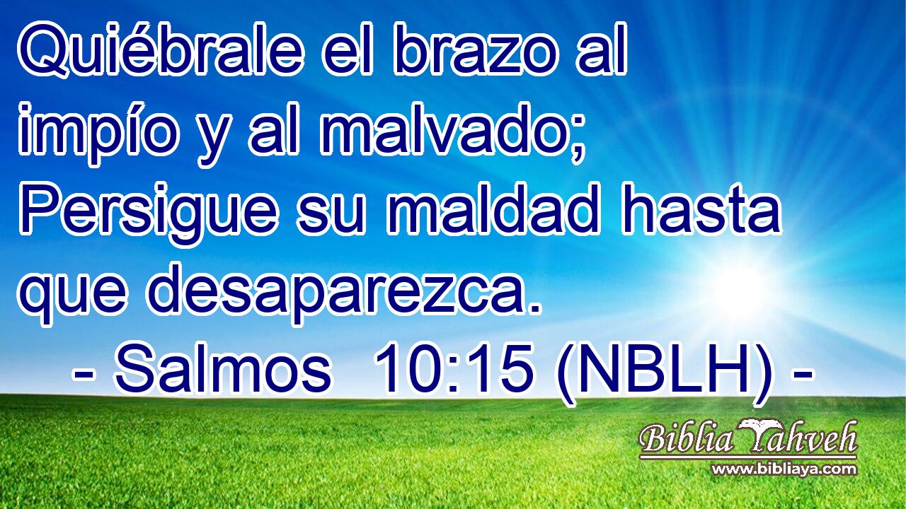  Quiébrale el brazo al impío y al malvado; Persigue su maldad hasta que desaparezca. 