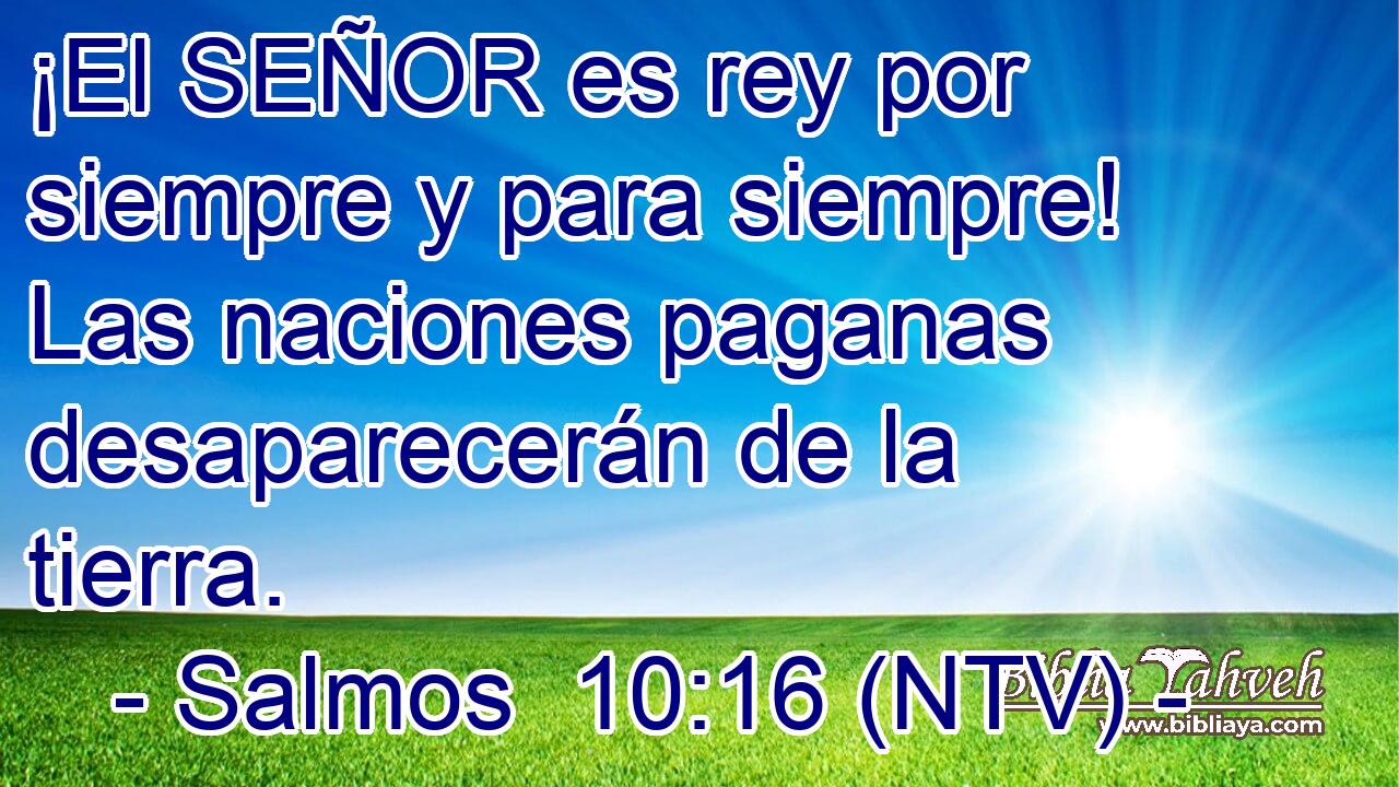 ¡El SEÑOR es rey por siempre y para siempre! Las naciones paganas desaparecerán de la tierra.