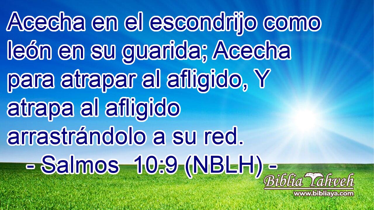  Acecha en el escondrijo como león en su guarida; Acecha para atrapar al afligido, Y atrapa al afligido arrastrándolo a su red. 