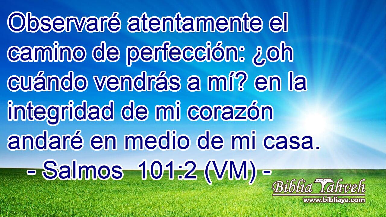  Observaré atentamente el camino de perfección: ¿oh cuándo vendrás a mí? en la integridad de mi corazón andaré en medio de mi casa. 