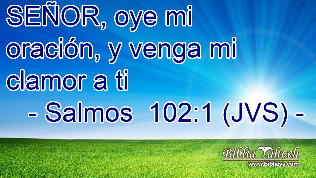 SEÑOR, oye mi oración, y venga mi clamor a ti
