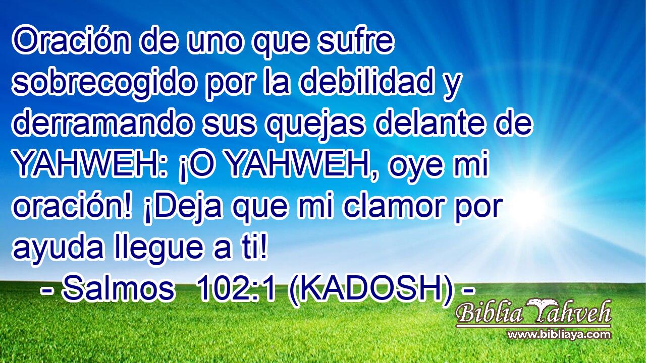  Oración de uno que sufre sobrecogido por la debilidad y derramando sus quejas delante de YAHWEH: ¡O YAHWEH, oye mi oración! ¡Deja que mi clamor por ayuda llegue a ti! 