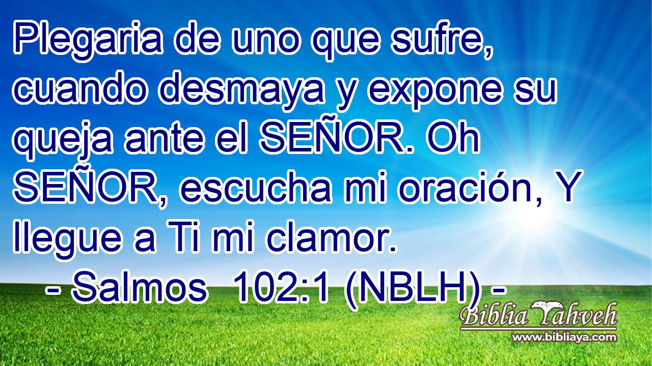  Plegaria de uno que sufre, cuando desmaya y expone su queja ante el SEÑOR. Oh SEÑOR, escucha mi oración, Y llegue a Ti mi clamor. 