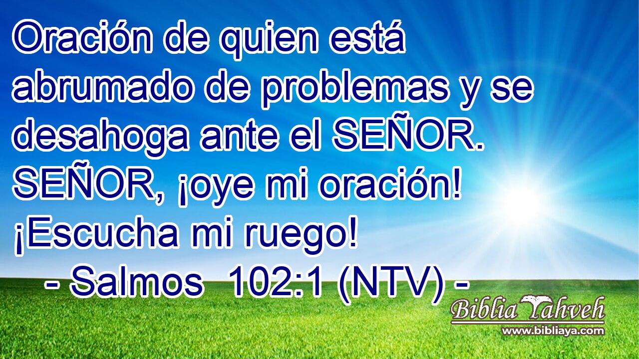 Oración de quien está abrumado de problemas y se desahoga ante el SEÑOR. SEÑOR, ¡oye mi oración! ¡Escucha mi ruego!