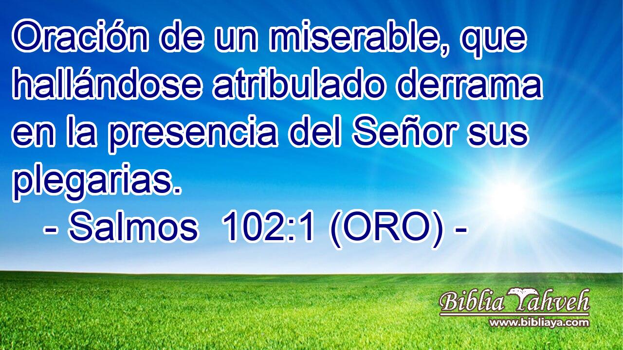  Oración de un miserable, que hallándose atribulado derrama en la presencia del Señor sus plegarias.