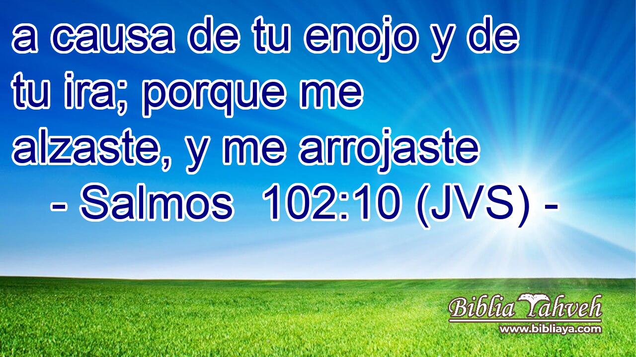 a causa de tu enojo y de tu ira; porque me alzaste, y me arrojaste