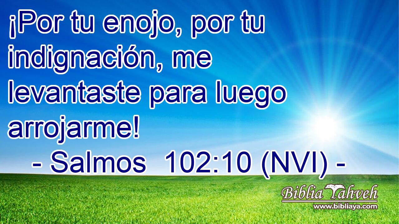  ¡Por tu enojo, por tu indignación, me levantaste para luego arrojarme! 