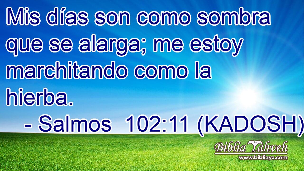  Mis días son como sombra que se alarga; me estoy marchitando como la hierba. 