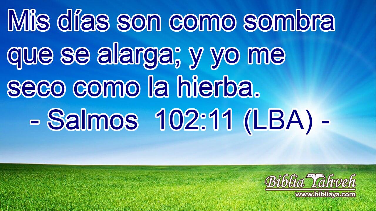 Mis días son como sombra que se alarga; y yo me seco como la hierba.
