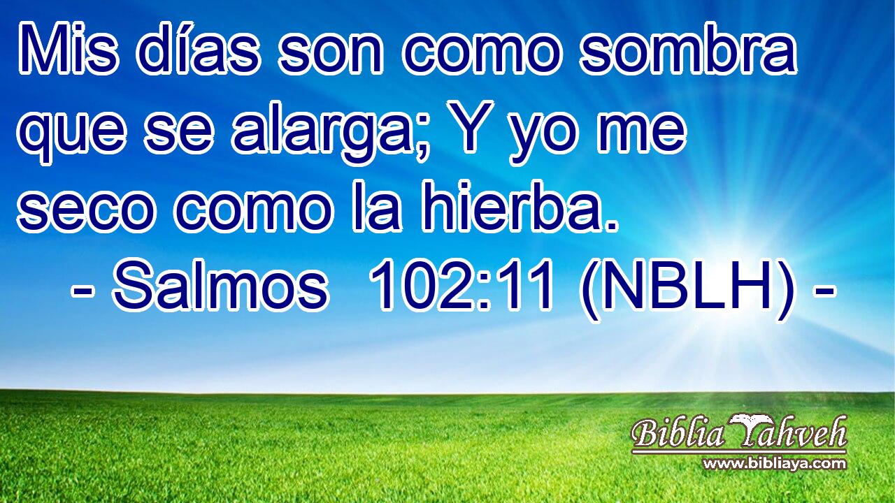  Mis días son como sombra que se alarga; Y yo me seco como la hierba. 