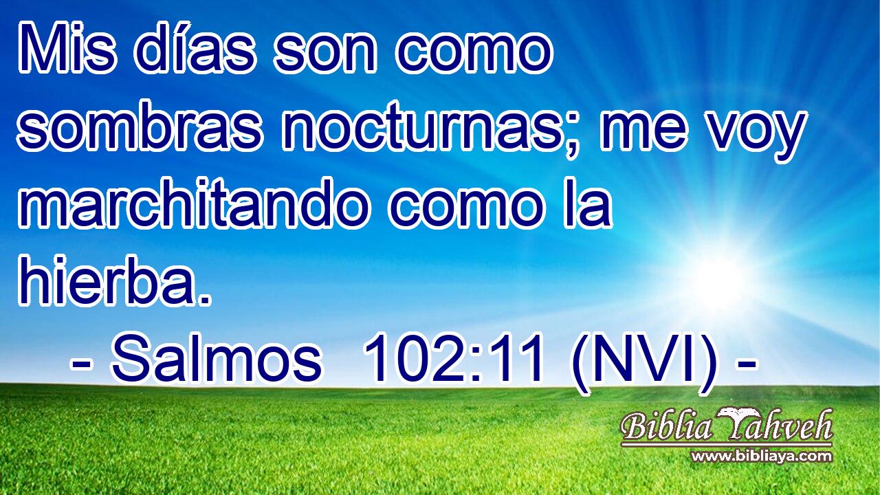 Mis días son como sombras nocturnas; me voy marchitando como la hierba. 