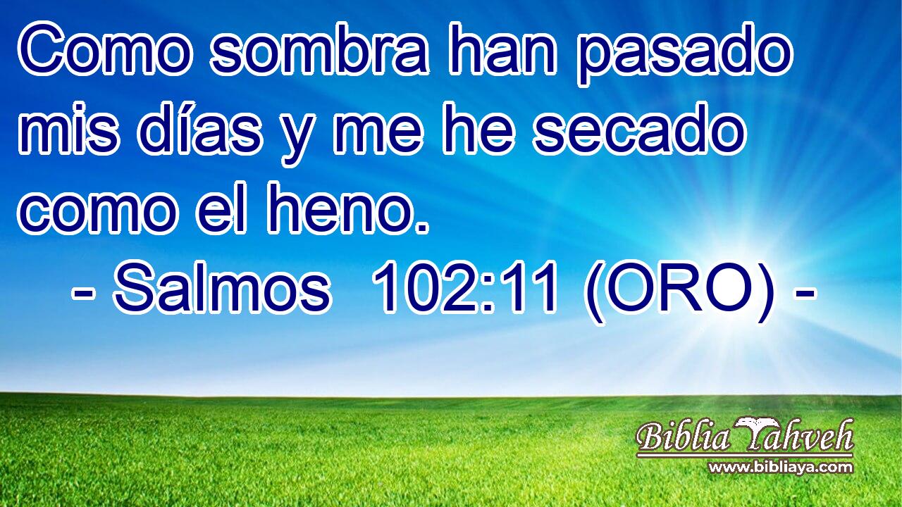  Como sombra han pasado mis días y me he secado como el heno. 