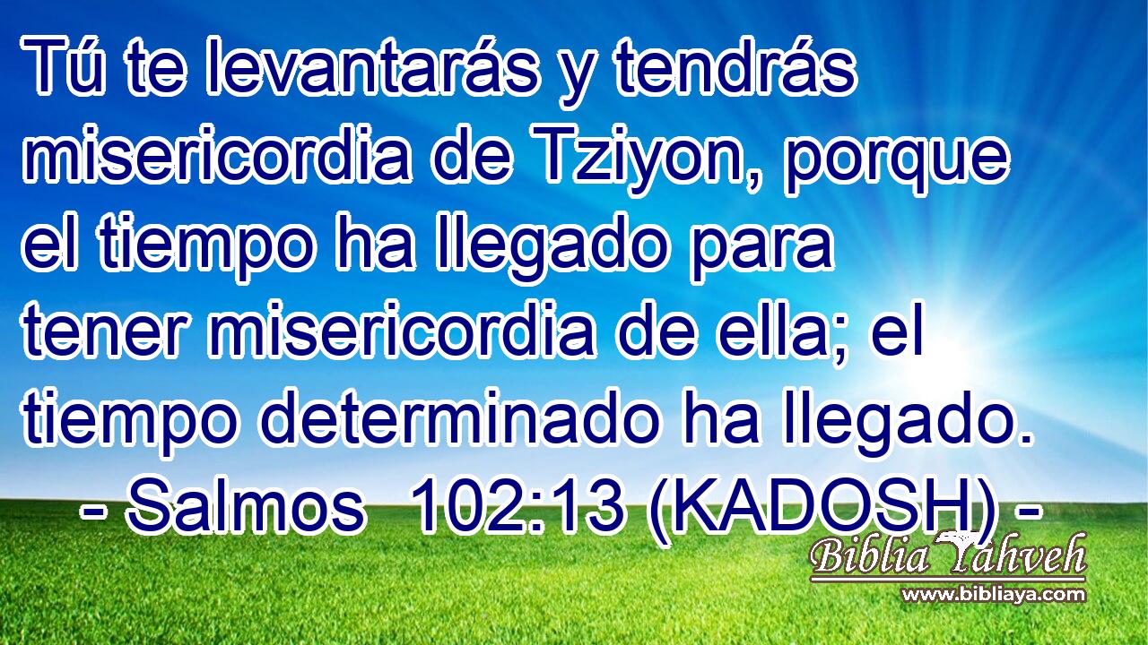  Tú te levantarás y tendrás misericordia de Tziyon, porque el tiempo ha llegado para tener misericordia de ella; el tiempo determinado ha llegado. 