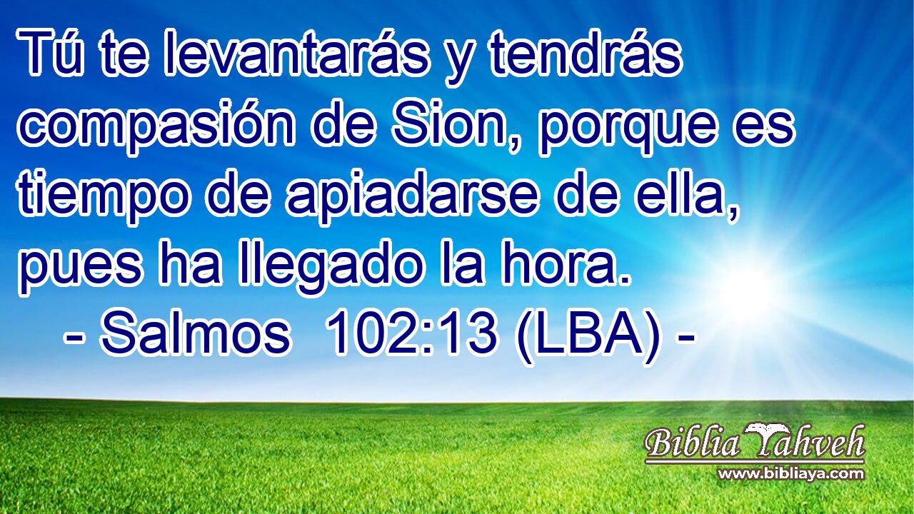 Tú te levantarás y tendrás compasión de Sion, porque es tiempo de apiadarse de ella, pues ha llegado la hora.