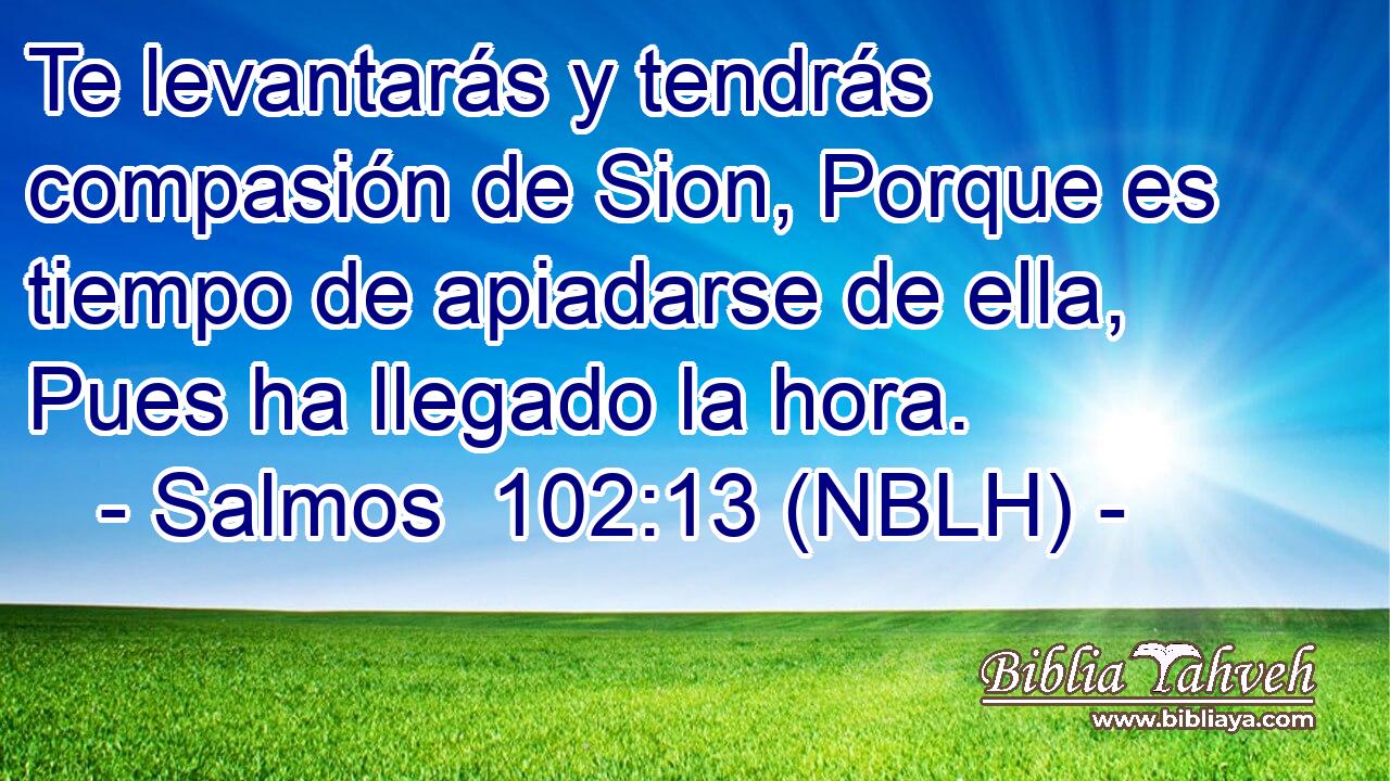  Te levantarás y tendrás compasión de Sion, Porque es tiempo de apiadarse de ella, Pues ha llegado la hora. 