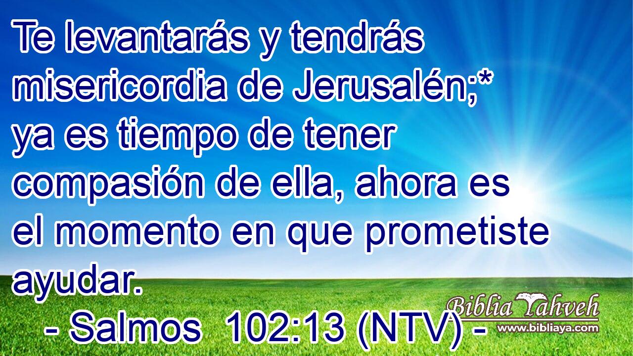 Te levantarás y tendrás misericordia de Jerusalén;* ya es tiempo de tener compasión de ella, ahora es el momento en que prometiste ayudar.