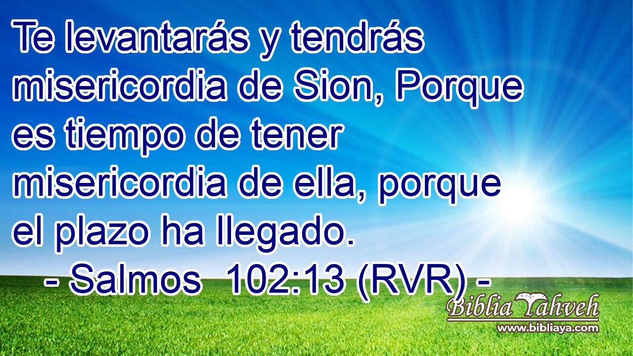 Te levantarás y tendrás misericordia de Sion, Porque es tiempo de tener misericordia de ella, porque el plazo ha llegado.