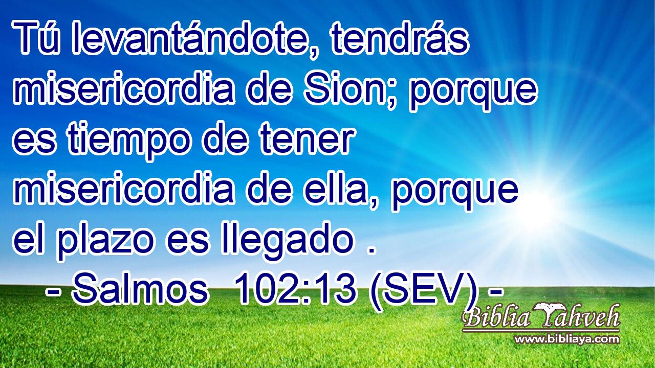 Tú levantándote, tendrás misericordia de Sion; porque es tiempo de tener misericordia de ella, porque el plazo es llegado .