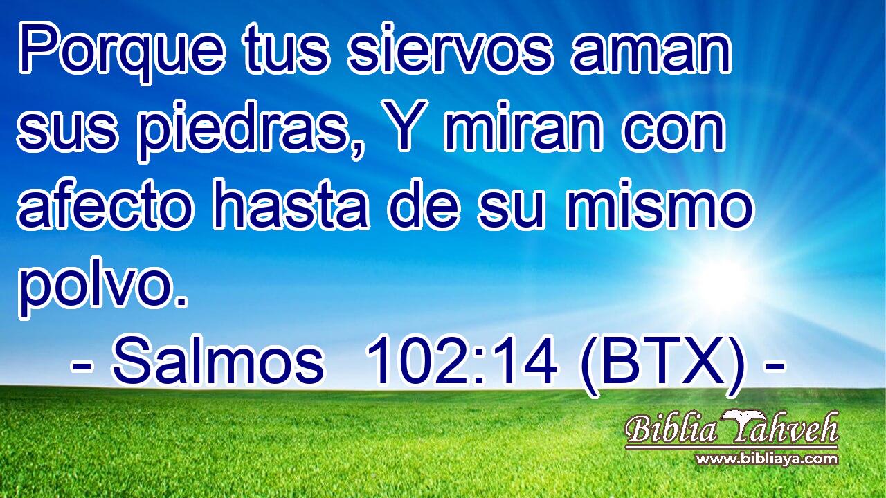 Porque tus siervos aman sus piedras, Y miran con afecto hasta de su mismo polvo.