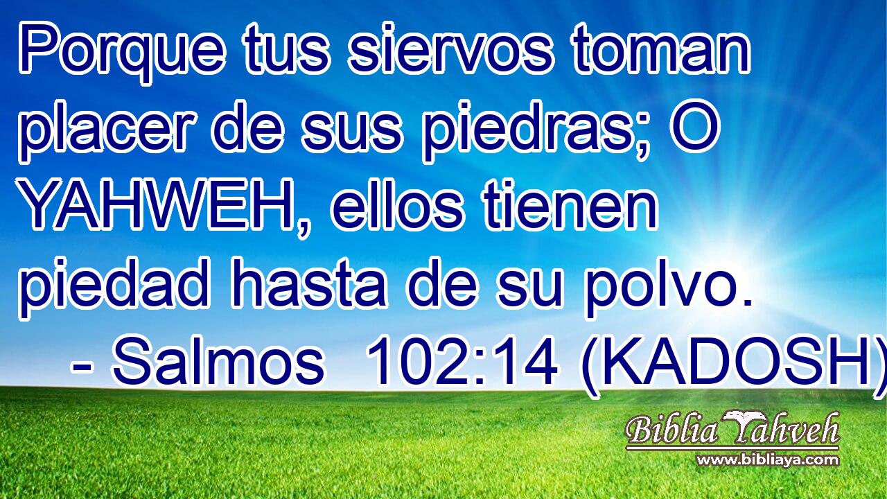  Porque tus siervos toman placer de sus piedras; O YAHWEH, ellos tienen piedad hasta de su polvo. 
