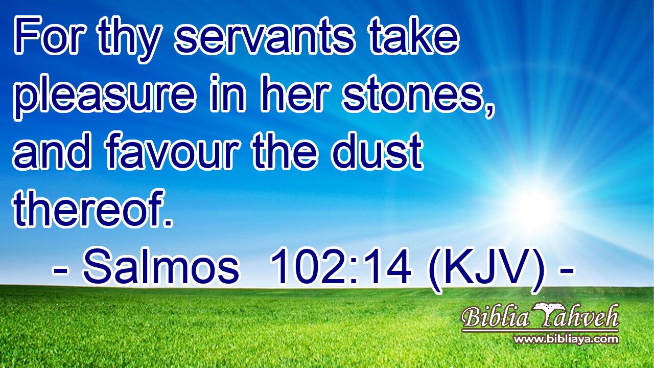 For thy servants take pleasure in her stones, and favour the dust thereof.