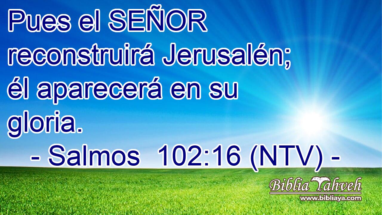 Pues el SEÑOR reconstruirá Jerusalén; él aparecerá en su gloria.