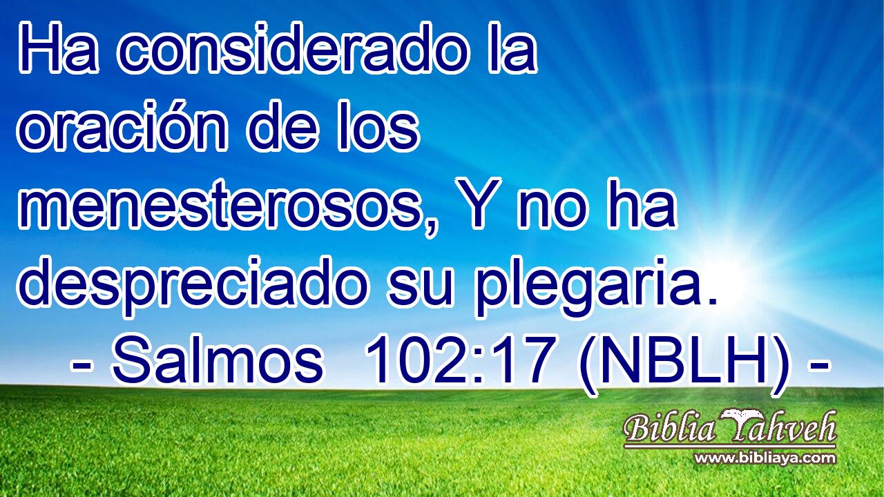  Ha considerado la oración de los menesterosos, Y no ha despreciado su plegaria. 