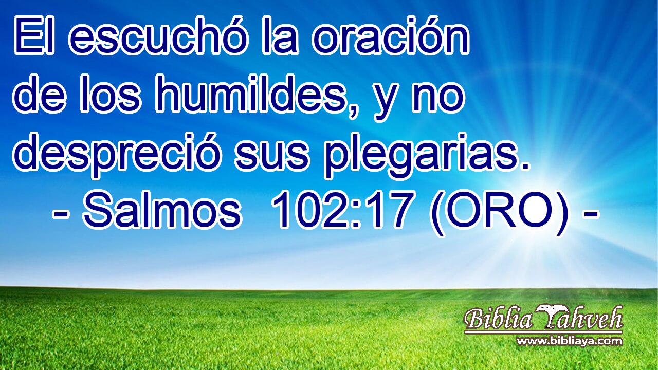  El escuchó la oración de los humildes, y no despreció sus plegarias. 