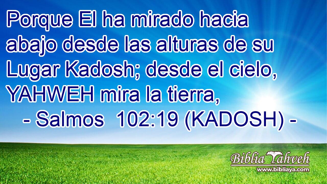  Porque El ha mirado hacia abajo desde las alturas de su Lugar Kadosh; desde el cielo, YAHWEH mira la tierra, 
