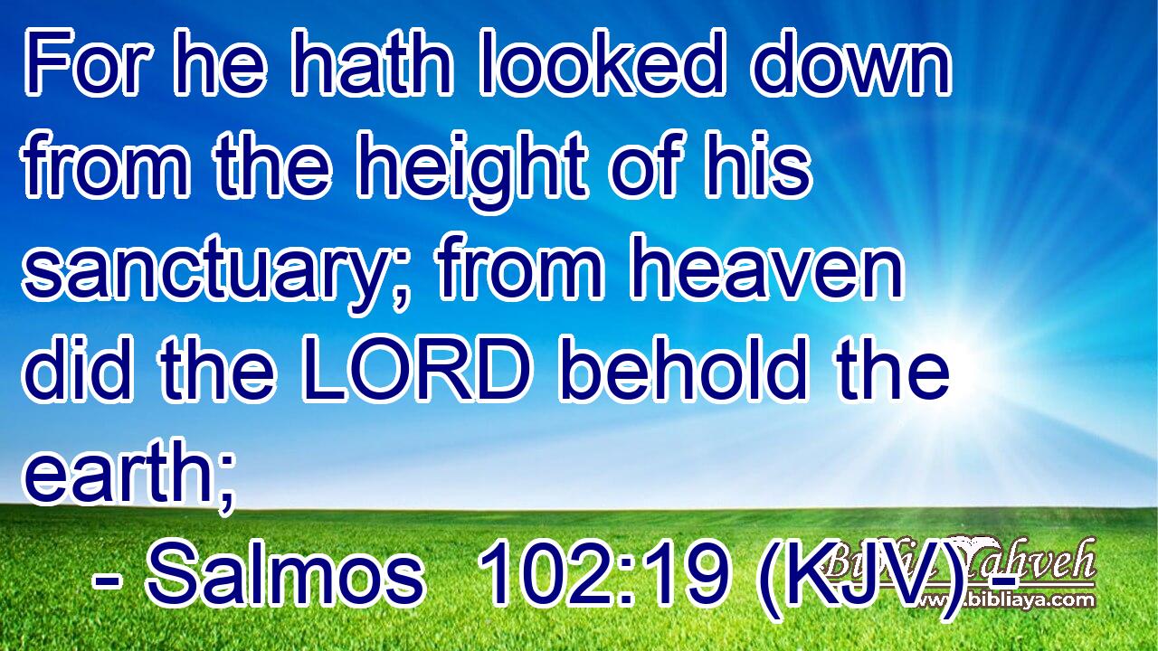 For he hath looked down from the height of his sanctuary; from heaven did the LORD behold the earth;