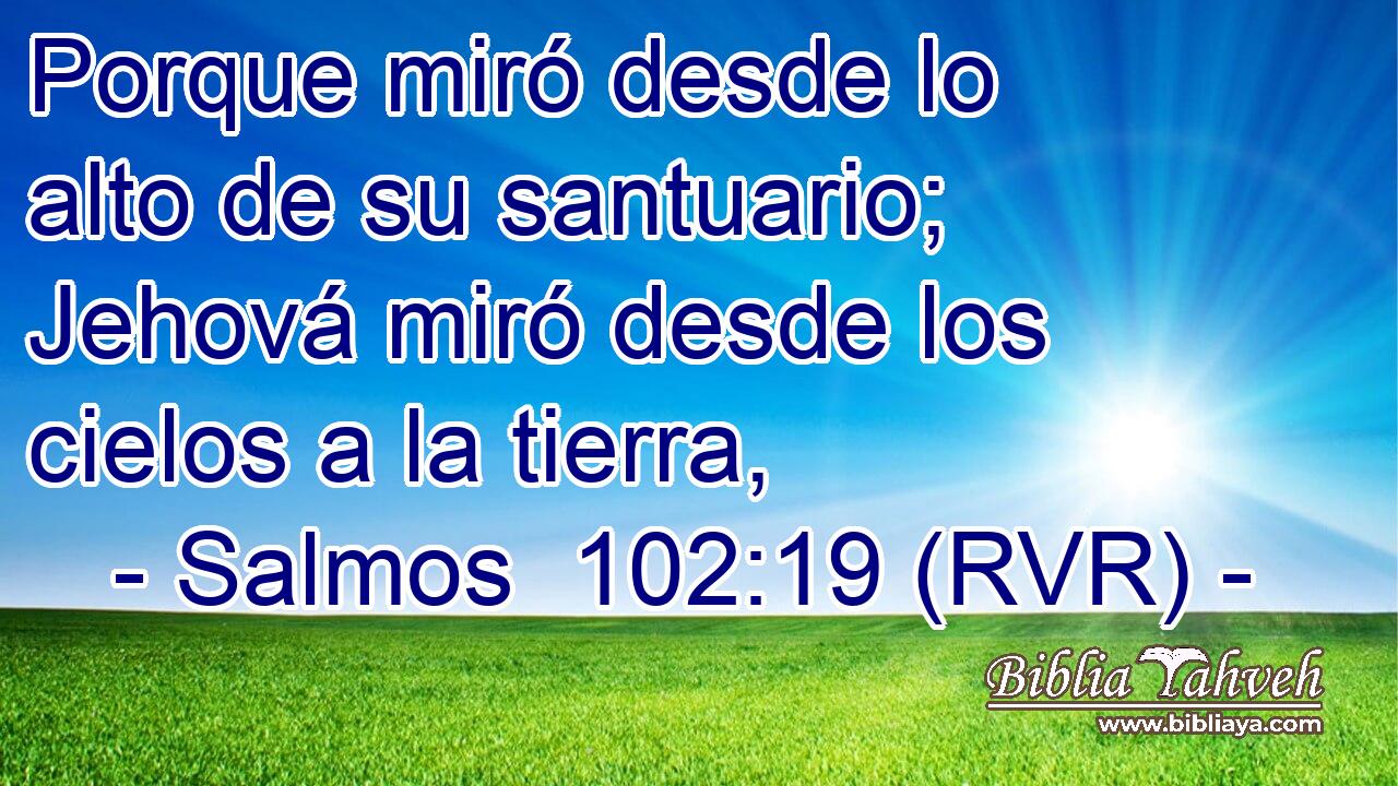 Porque miró desde lo alto de su santuario; Jehová miró desde los cielos a la tierra,