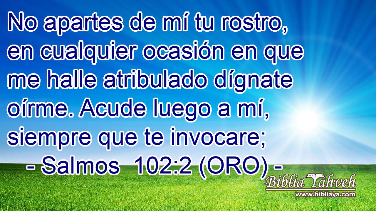  No apartes de mí tu rostro, en cualquier ocasión en que me halle atribulado dígnate oírme. Acude luego a mí, siempre que te invocare; 